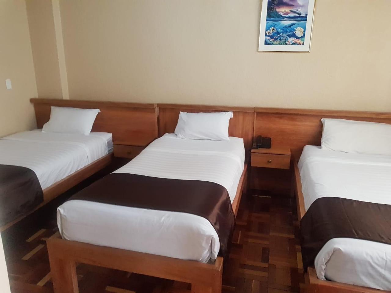 Hostal Loro Verde Quito Ngoại thất bức ảnh