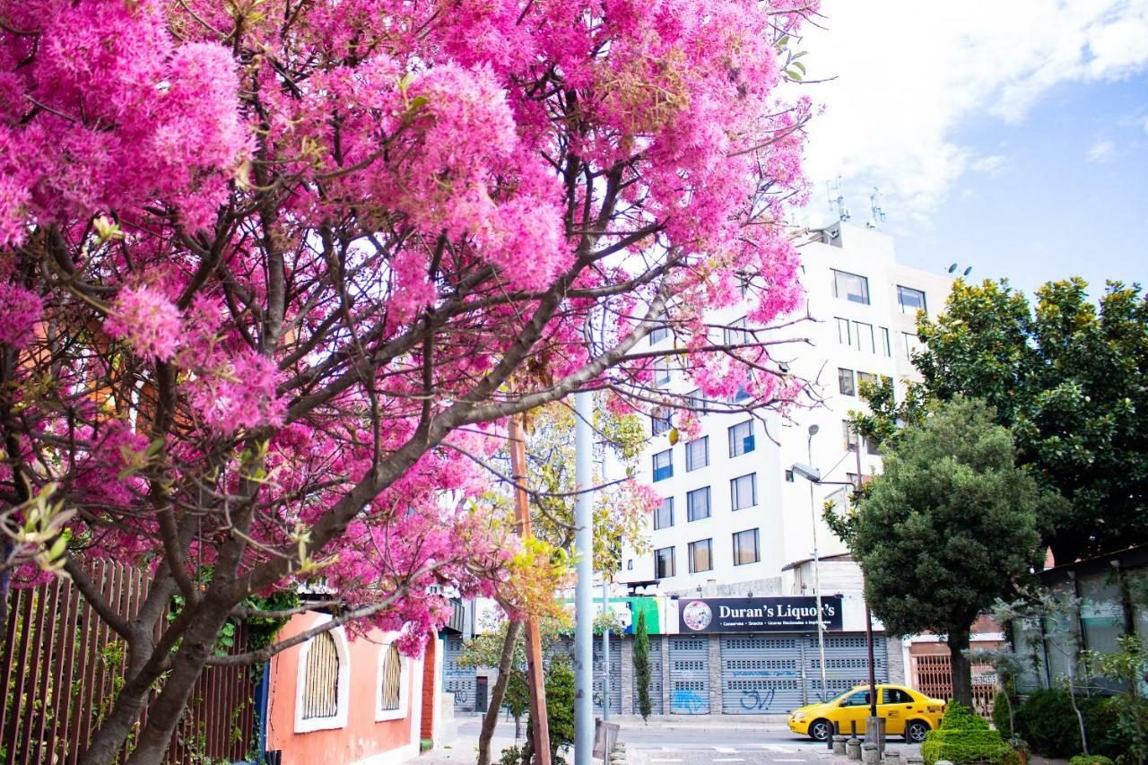 Hostal Loro Verde Quito Ngoại thất bức ảnh